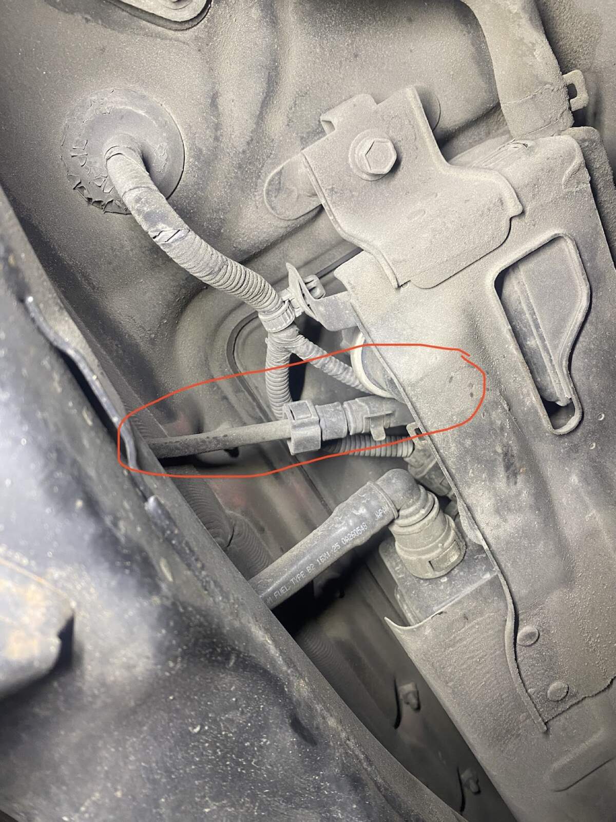 EVAP line location circled in engine bay